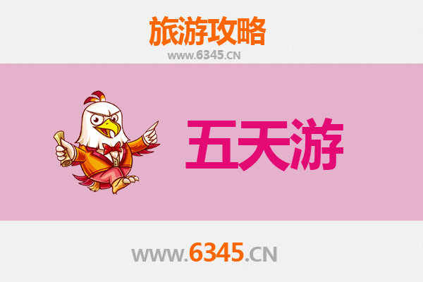 海南保亭保城镇五天四夜深度游攻略：雨林探秘与黎苗文化体验